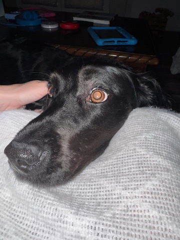 they took my pickcher with moms phone