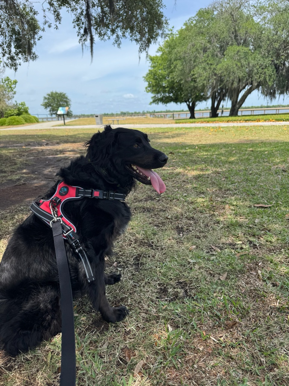 Girlfriend at the park