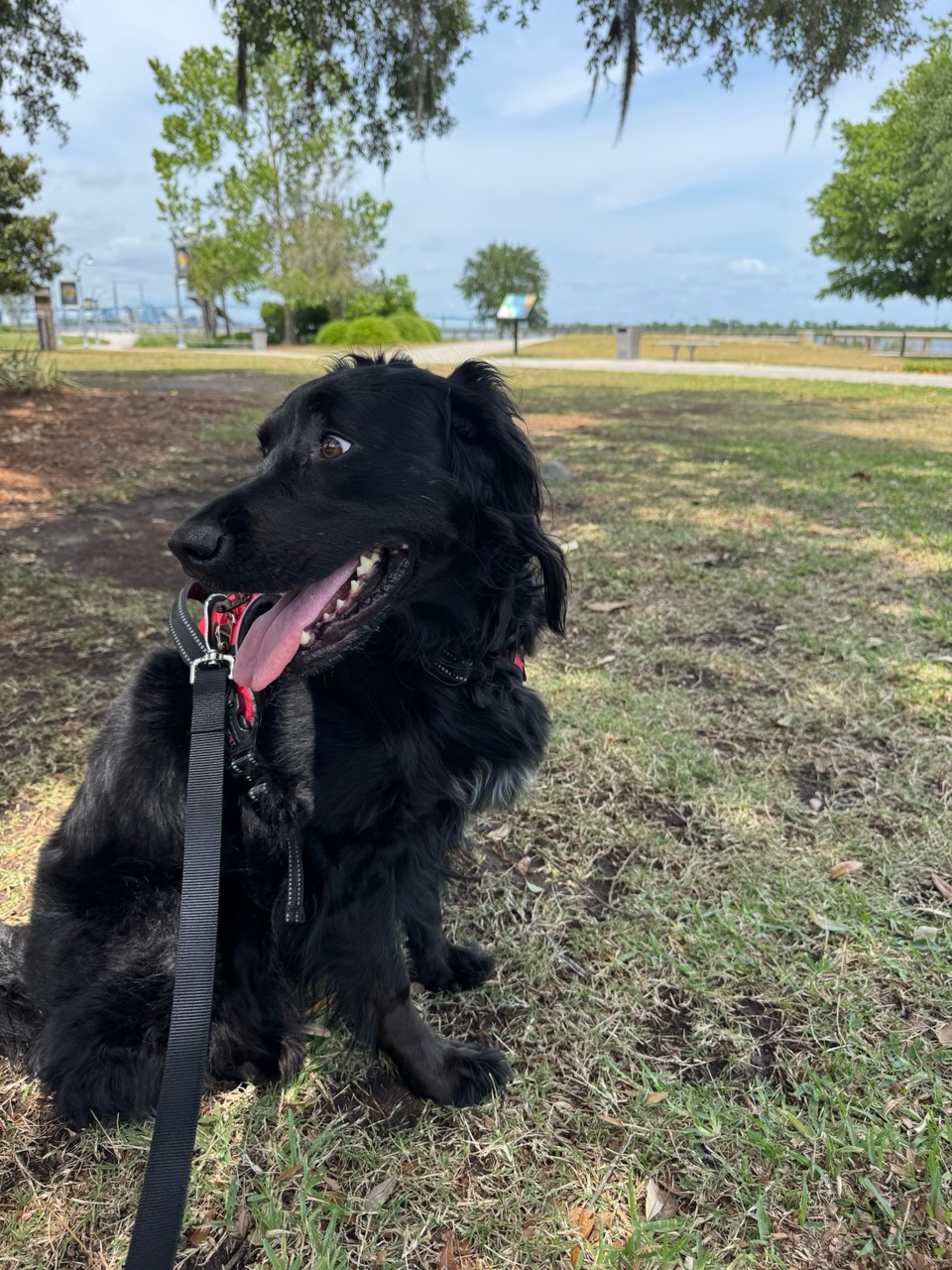Park day fun